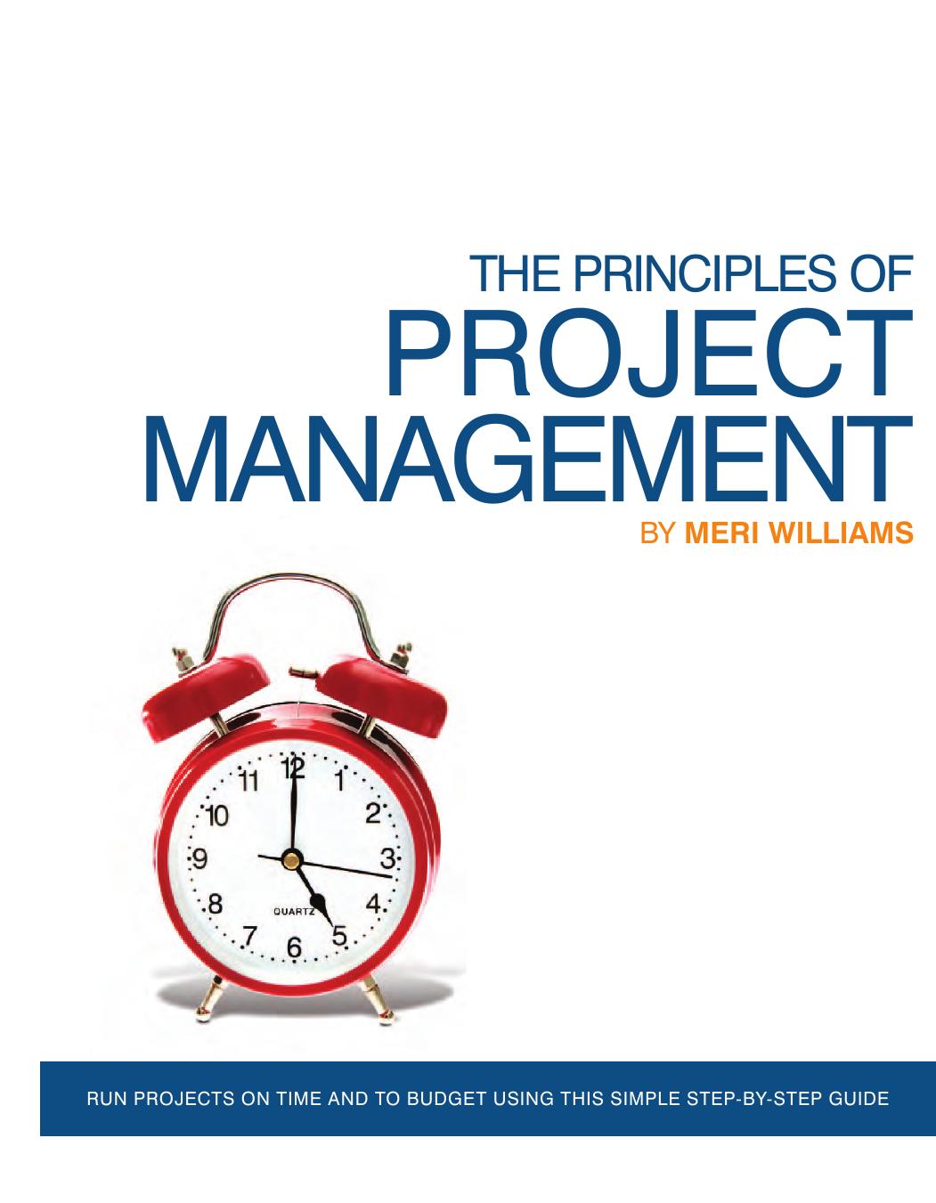 The Principles of Project Management by Meri Williams