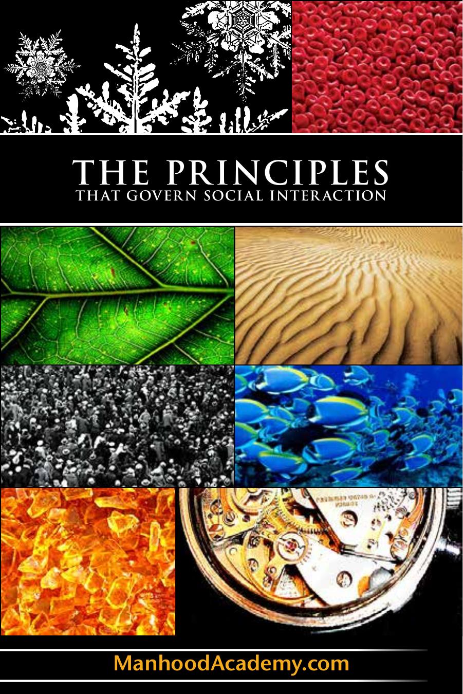 The Principles that govern social interaction by ManHood Academy