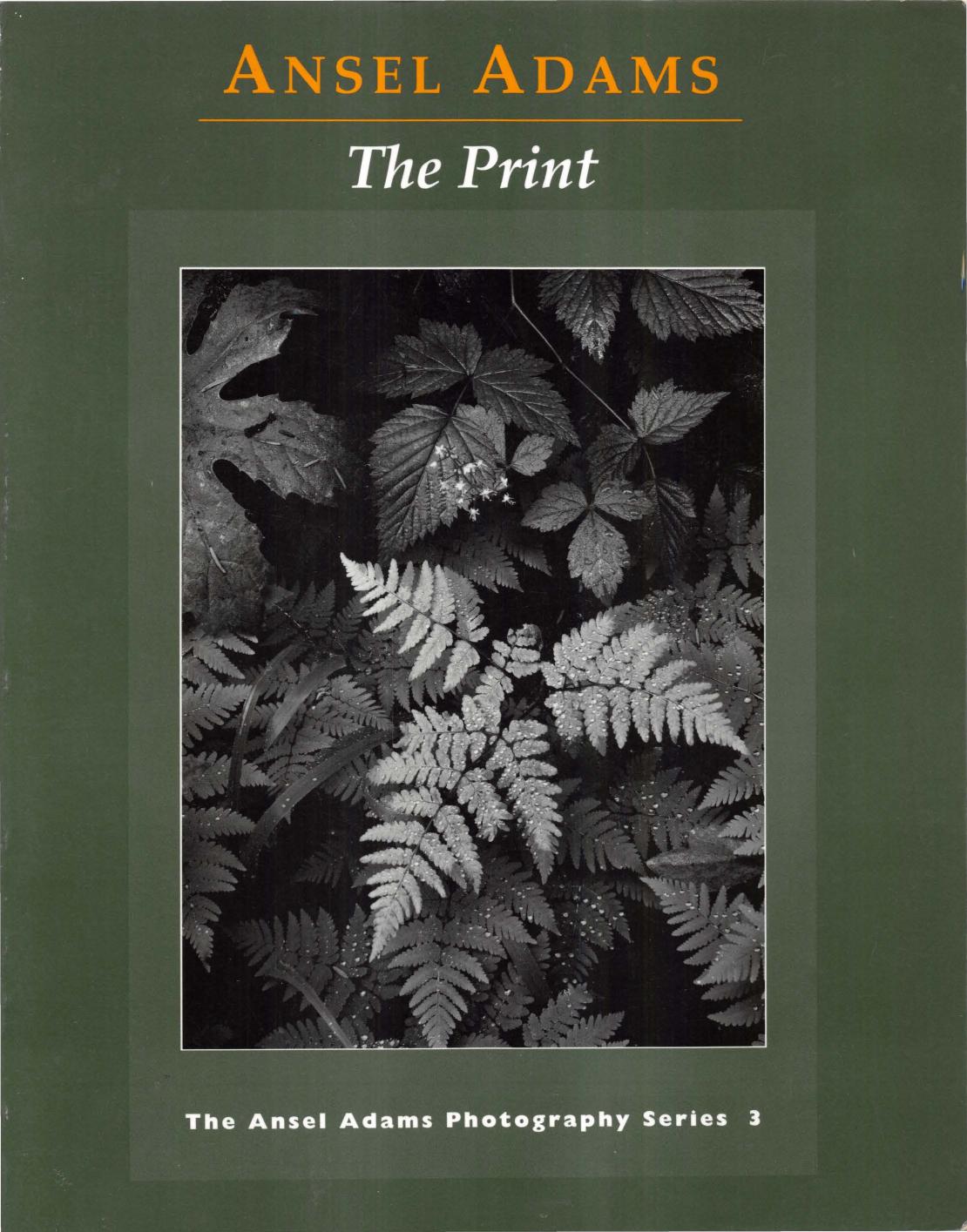 The Print by Ansel Adams