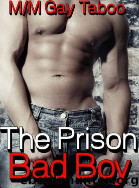The Prison Bad Boy MM Gay Taboo by Terry Stone