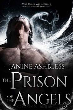 The Prison of the Angels by Janine Ashbless