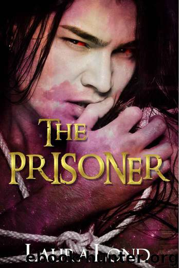 The Prisoner (The Dark Elf of Syron, #1) by Laura Lond