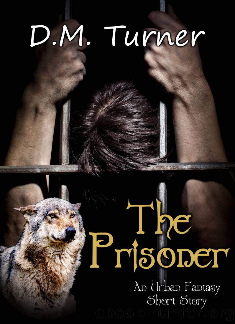 The Prisoner by D.M. Turner