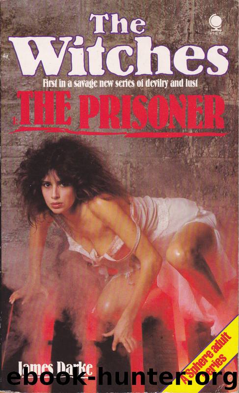 The Prisoner by James Darke