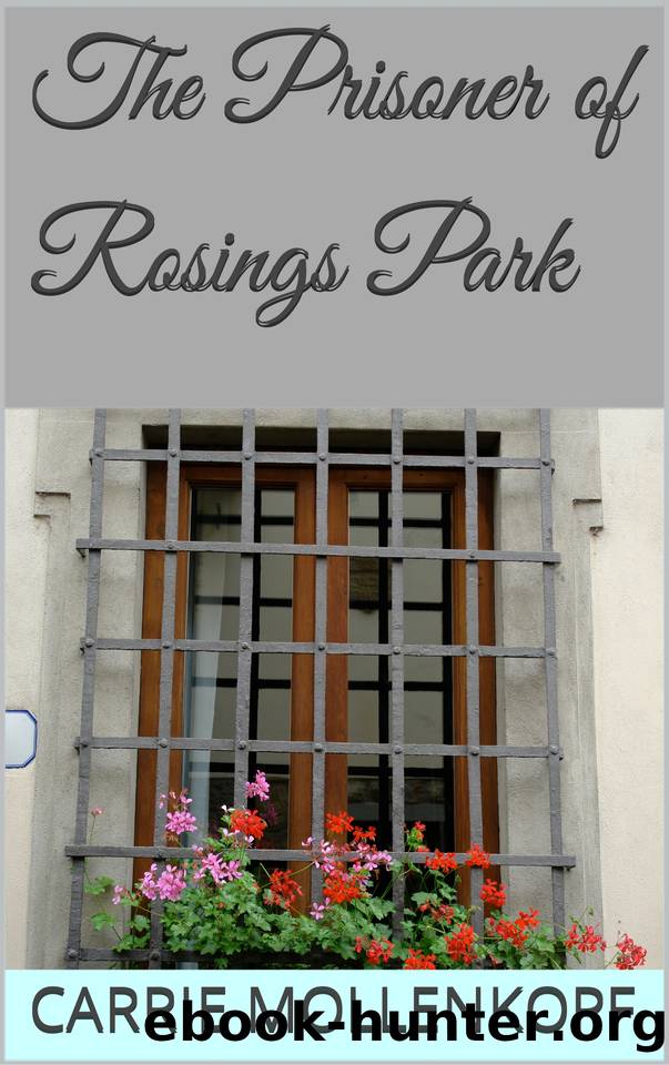 The Prisoner of Rosings Park by Mollenkopf Carrie