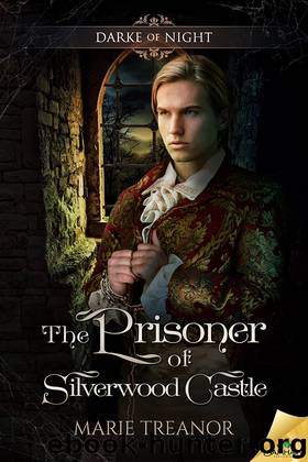 The Prisoner of Silverwood Castle by Marie Treanor
