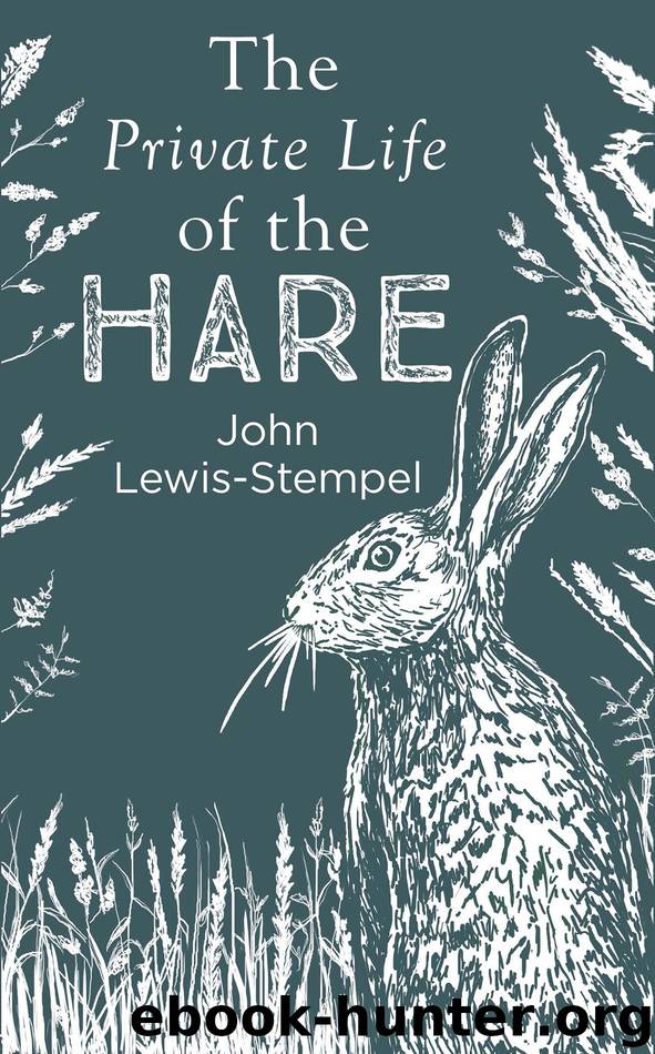 The Private Life of the Hare by John Lewis-Stempel