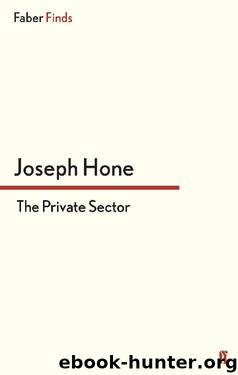 The Private Sector (A Peter Marlow spy thriller) by Joseph Hone