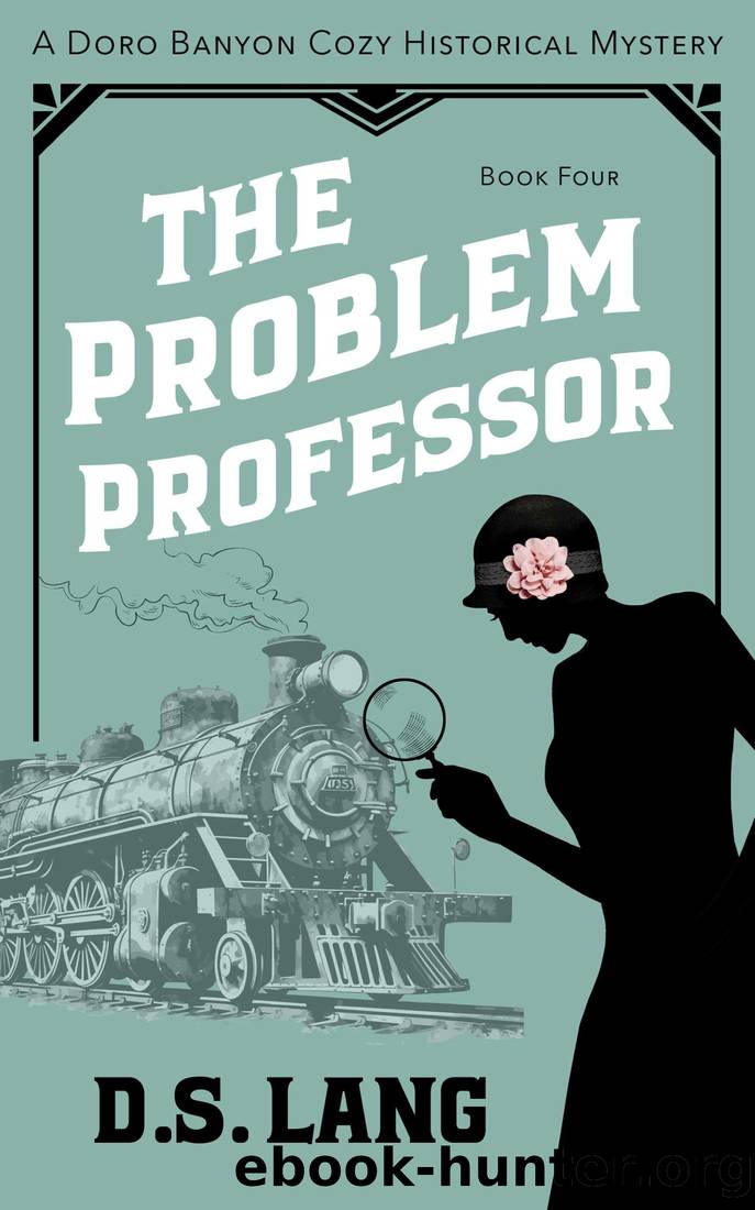 The Problem Professor by D.S. Lang