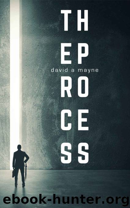 The Process by David Mayne