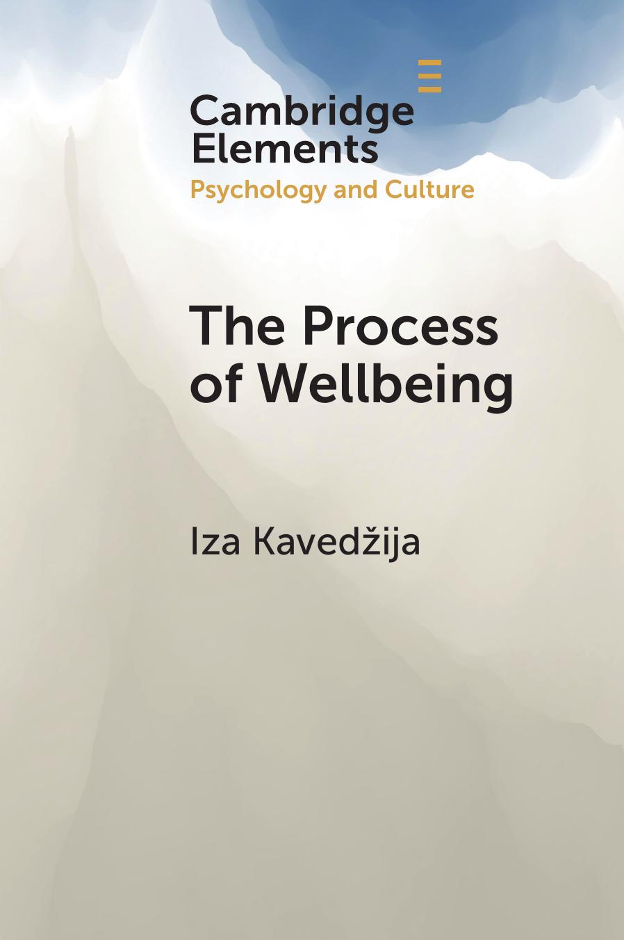 The Process of Wellbeing by Iza Kavedžija