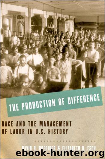 The Production of Difference: Race and the Management of Labor in U.S. History by David R. Roediger & Elizabeth D. Esch
