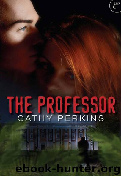 The Professor by Cathy Perkins