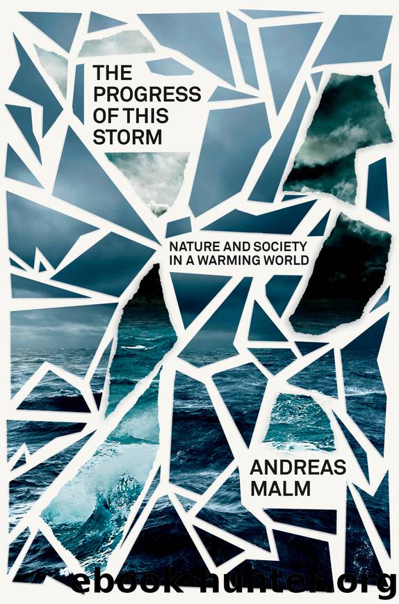 The Progress of This Storm by Andreas Malm