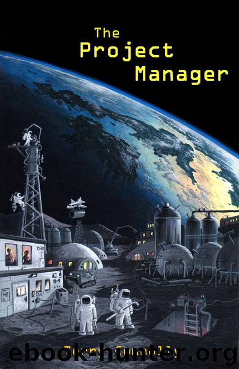 The Project Manager by Terry Connolly