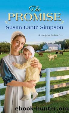The Promise (Southern Maryland Amish Romances Book 1) by Susan Lantz Simpson