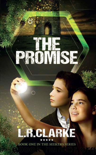 The Promise (The Seekers Book 1) by Clarke L R