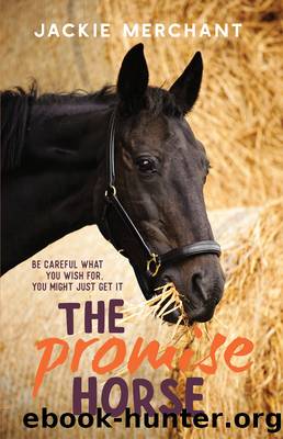 The Promise Horse by Jackie Merchant