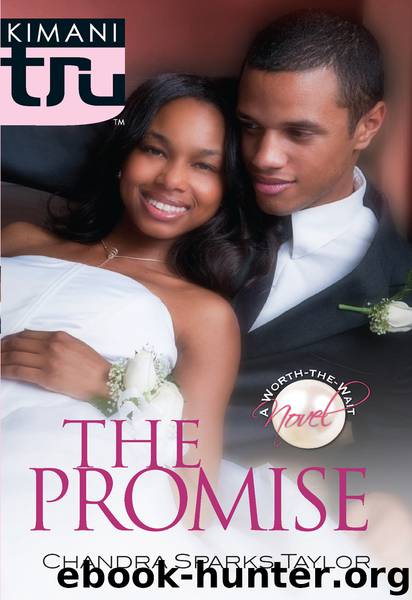 The Promise by Chandra Sparks Taylor