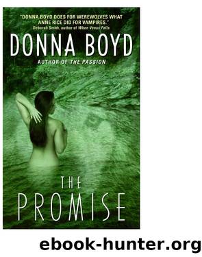 The Promise by Donna Boyd