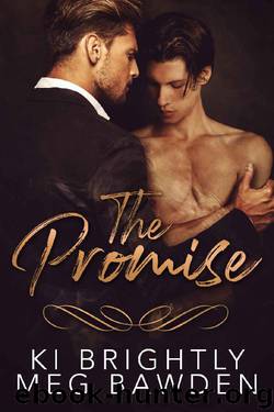 The Promise by Ki Brightly & Meg Bawden