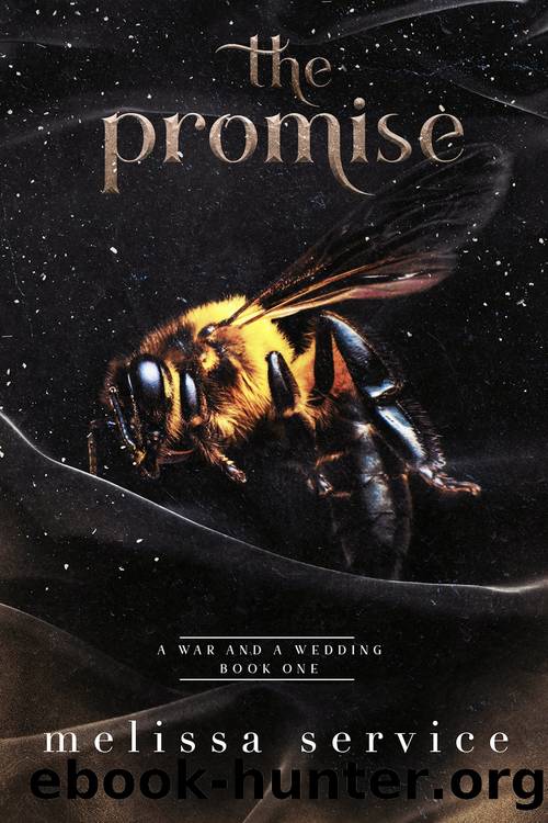 The Promise by Melissa Service