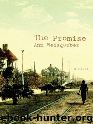 The Promise by Weisgarber Ann