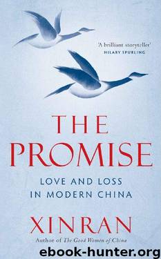 The Promise by Xinran Xue