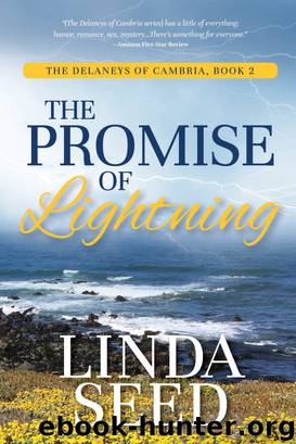 The Promise of Lightning by Linda Seed