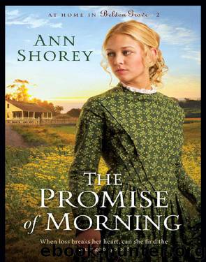 The Promise of Morning by Ann Shorey