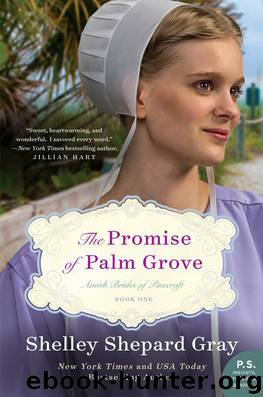 The Promise of Palm Grove by Gray Shelley Shepard