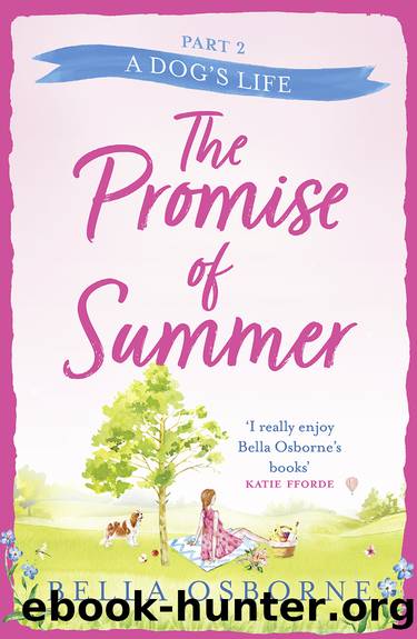 The Promise of Summer, Part 2 by Bella Osborne