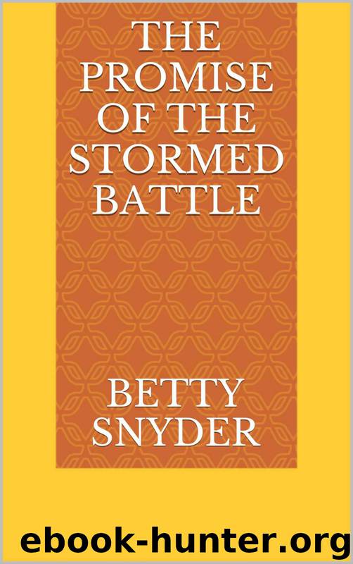 The Promise of the Stormed Battle by Betty Snyder