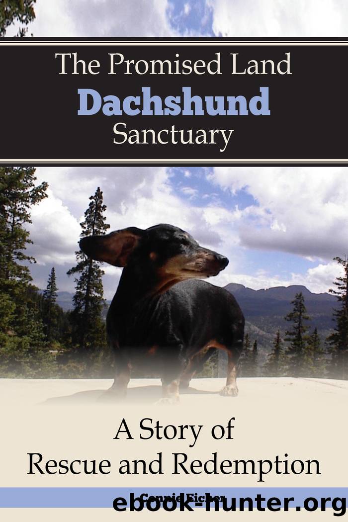 The Promised Land Dachshund Sanctaury by Connie Jean Eicher