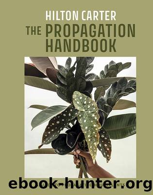 The Propagation Handbook: A guide to propagating houseplants by Hilton Carter