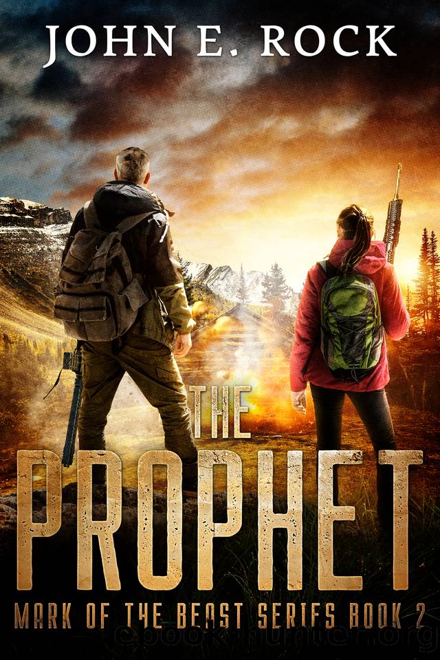 The Prophet: The Mark of the Beast, Book Two by John E Rock