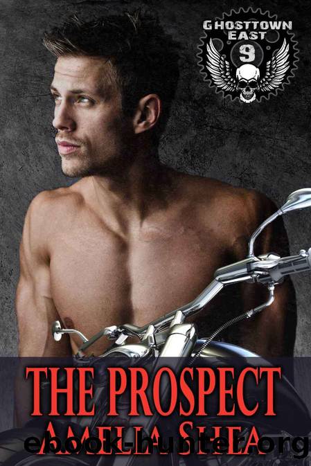 The Prospect (Ghosttown East Book 9) by Amelia Shea