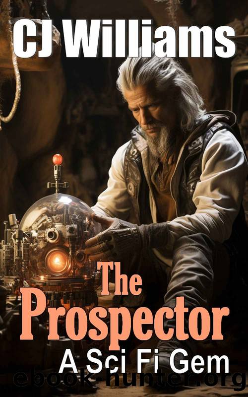 The Prospector by Williams CJ