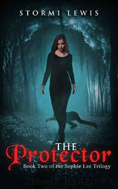The Protector by Stormi Lewis