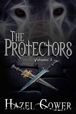The Protectors, Volume 1 by Hazel Gower