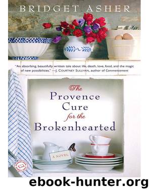 The Provence Cure for the Brokenhearted by Bridget Asher