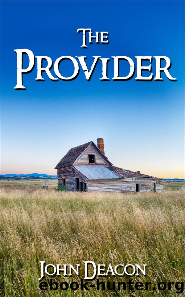 The Provider (The Provider Saga Book 1) by John Deacon