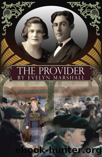The Provider by Evelyn Marshall