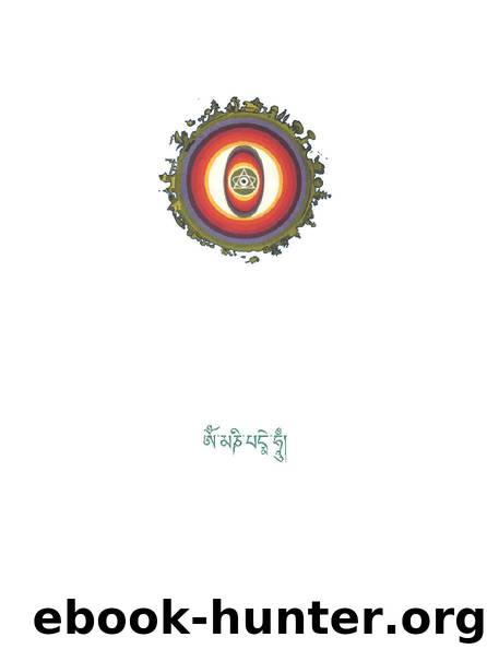 The Psychedelic Experience by unknow