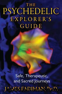 The Psychedelic Explorer's Guide: Safe, Therapeutic, and Sacred Journeys by James Fadiman Ph.D