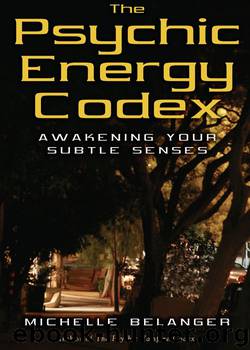 The Psychic Energy Codex: Awakening Your Subtle Senses by Michelle A Belanger