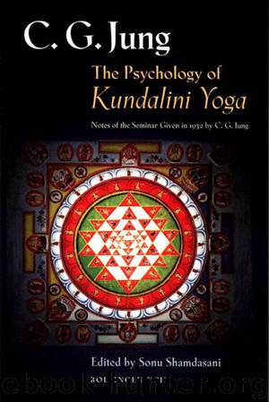 The Psychology of Kundalini Yoga by Sonu Shamdasani