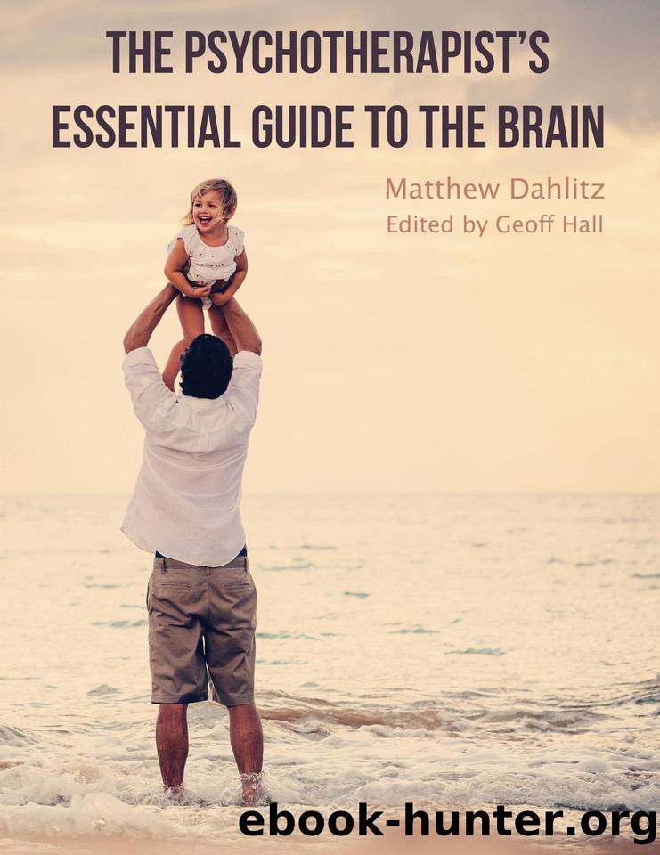 The Psychotherapist's Essential Guide to the Brain by Dahlitz Matthew