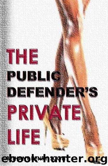 The Public Defender's Private Life by Bethany Henry-Scott