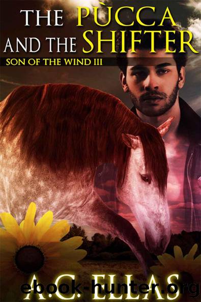 The Pucca and the Shifter (Son of the Wind) by A.C. Ellas